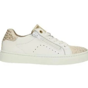 Bull boxer baskets et sneakers aop005e5l blanc or