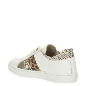 Bull boxer baskets et sneakers ahm031e5l blanc