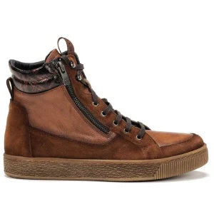 Dorking boots d8910 marron multicouleurs