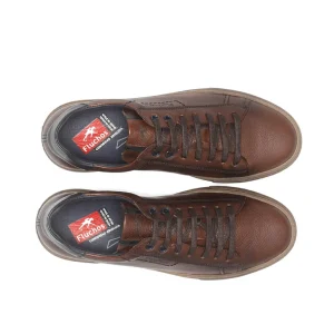 Fluchos sneakers f1336 marron
