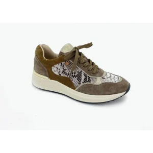Fugitive baskets vague taupe