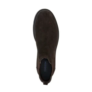 Geox bottines u36d1c marron