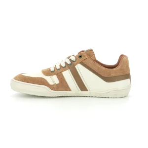 Kickers sneakers jumpe marron