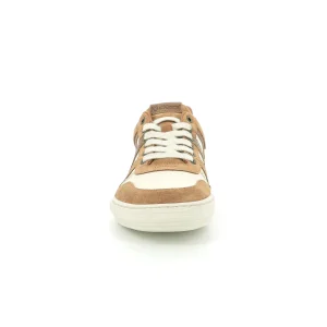 Kickers sneakers jumpe marron