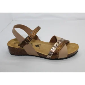 Plakton tongs norte camel