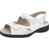 Solidus baskets 10306 blanc or