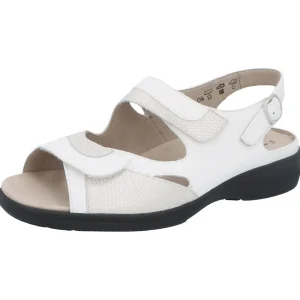 Solidus baskets 10306 blanc or