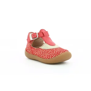 Aster semi ouverte patti rouge