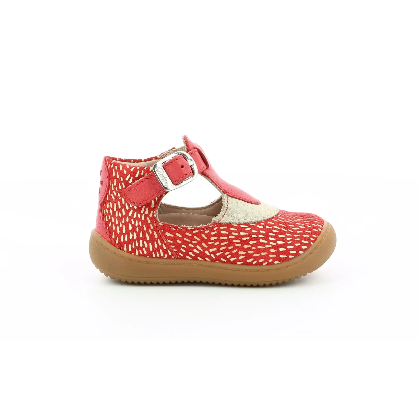 aster_semi_ouverte_patti__1-2.webp Aster semi ouverte patti rouge