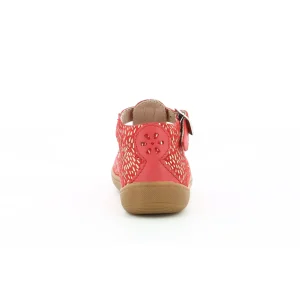 Aster semi ouverte patti rouge
