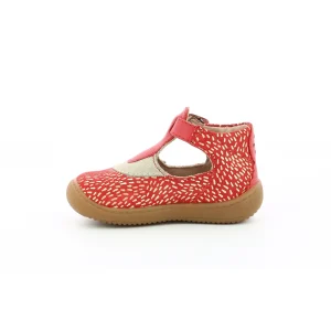 Aster semi ouverte patti rouge