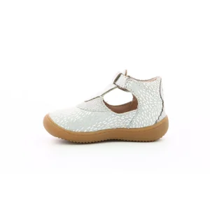 Aster semi ouverte patti gris