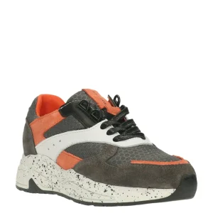 Bull boxer baskets et sneakers awj001e5c gris