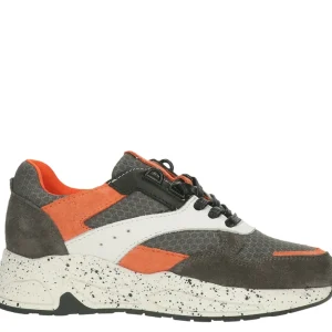 Bull boxer baskets et sneakers awj001e5c gris