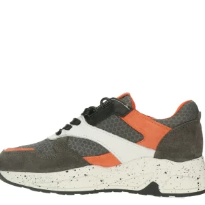 Bull boxer baskets et sneakers awj001e5c gris