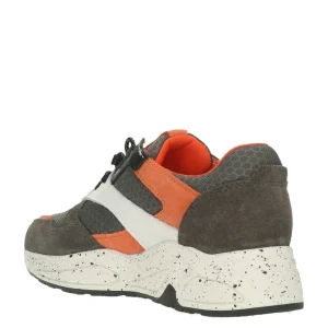 Bull boxer baskets et sneakers awj001e5c gris