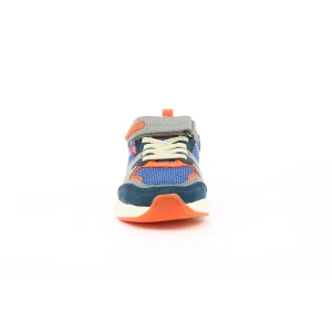 Kickers baskets et sneakers knakk bleu