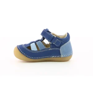 Kickers premiers pas sushy bleu